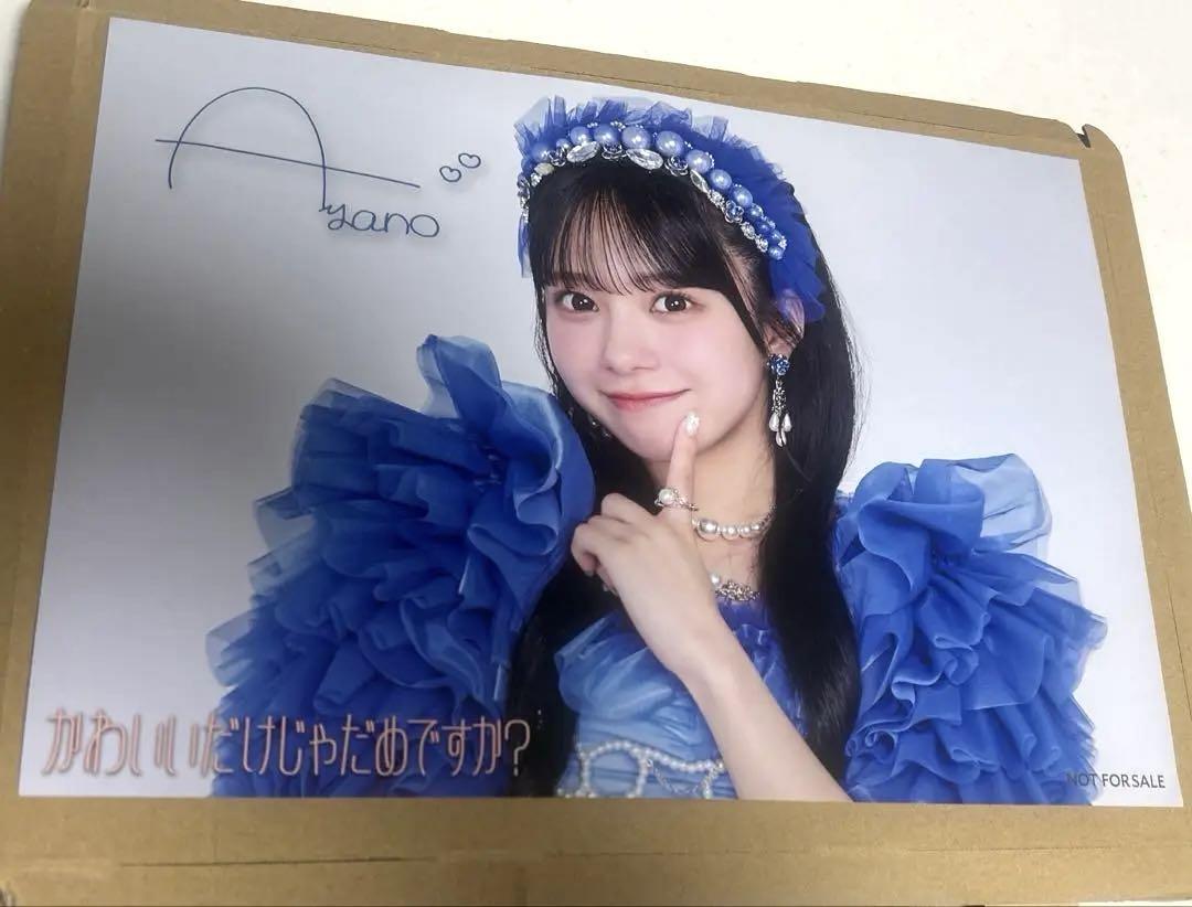 増田彩乃 ポスター きゅーすと