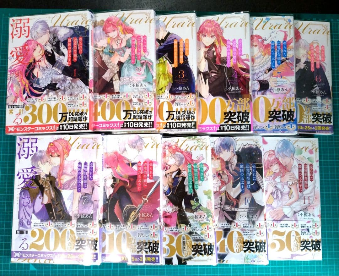 売られた辺境伯令嬢は隣国の王太子に溺愛される 1-11巻