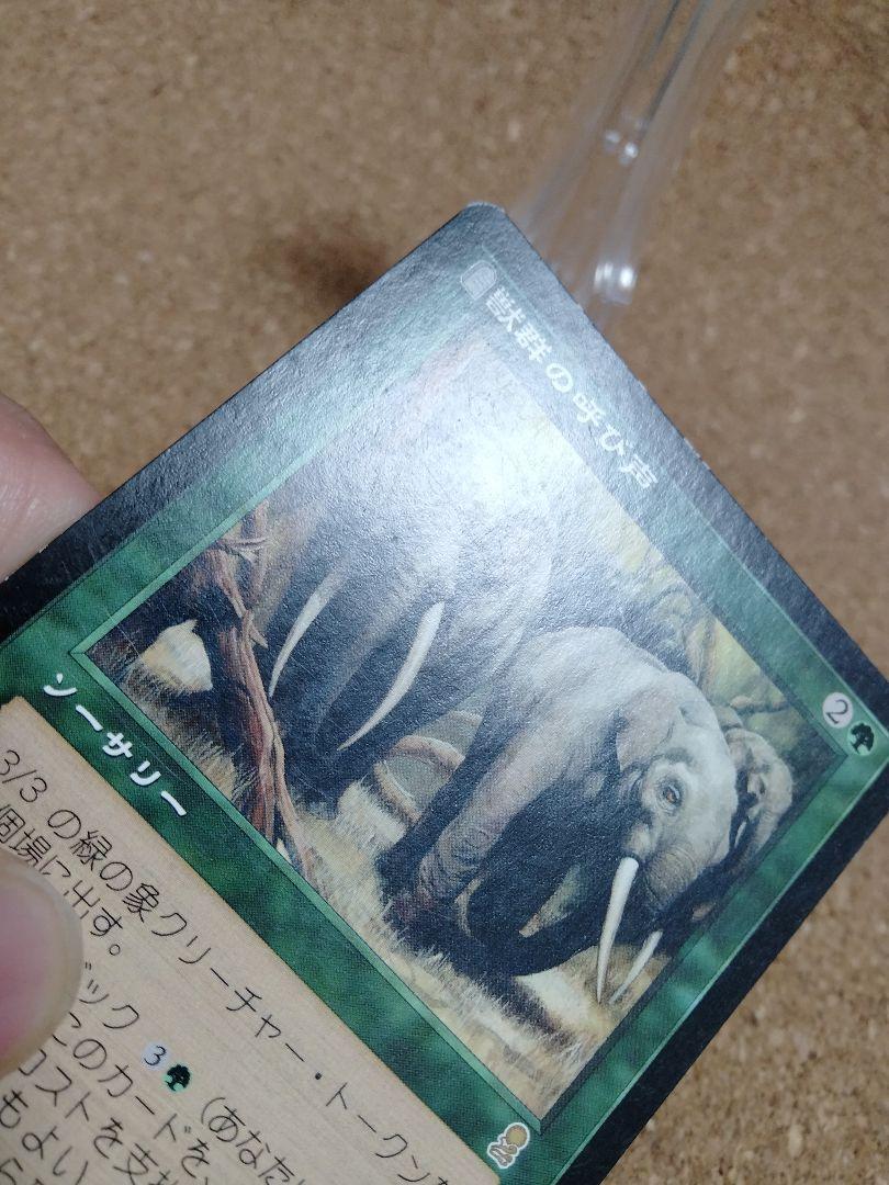 おまけ付 オデッセイ 1枚 Mtg 日本語 獣群の呼び声 マジック ザ ギャザリング Www Vetrorossi Com おまけ付 オデッセイ 1枚 Mtg 日本語 獣群の呼び声 マジック ザ ギャザリング Www Vetrorossi Com