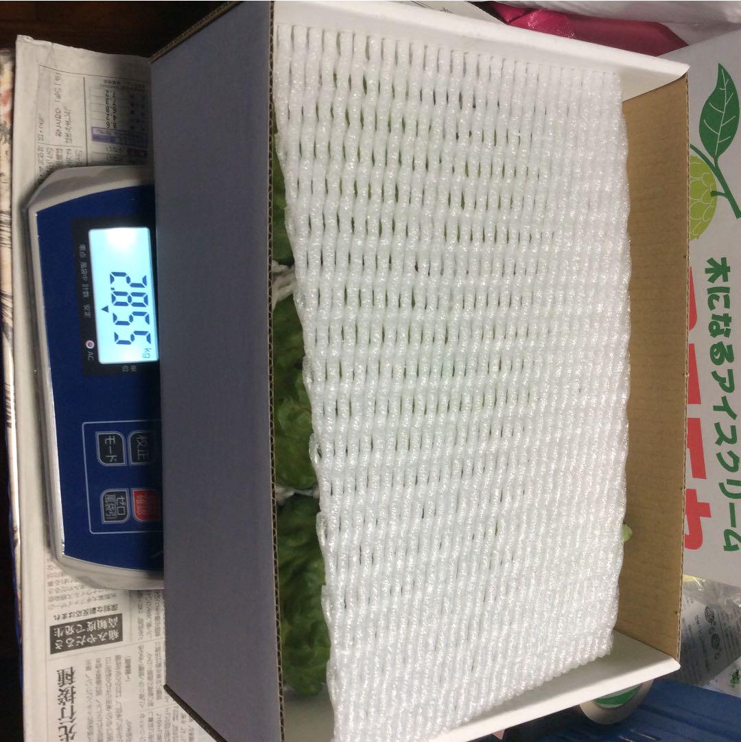 通販在庫あ アテモヤA級品2645g8499円 箱の重さを合わせて3095g 6ih9X-m15218447833 定番豊富な