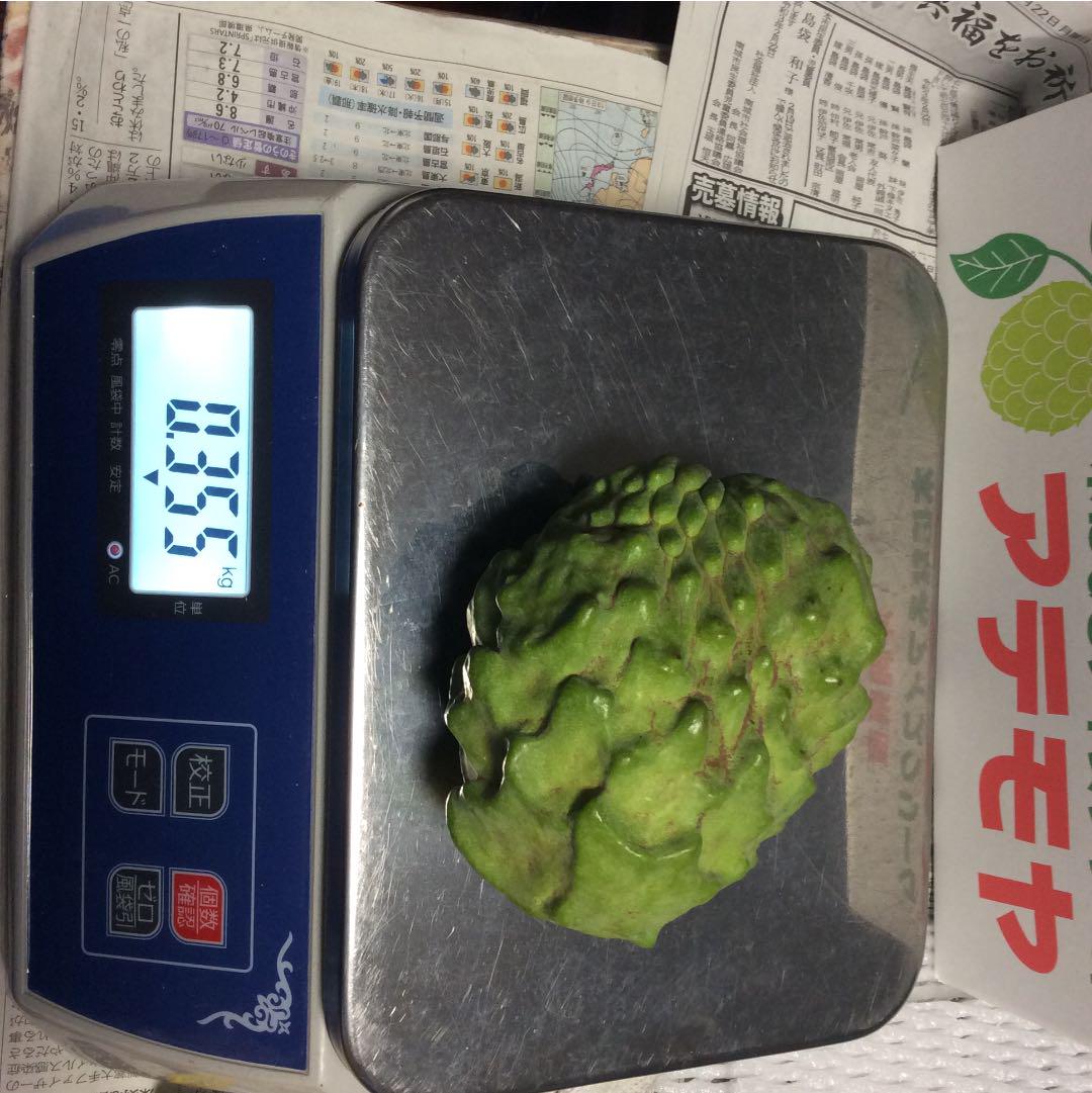 通販在庫あ アテモヤA級品2645g8499円 箱の重さを合わせて3095g 6ih9X-m15218447833 定番豊富な