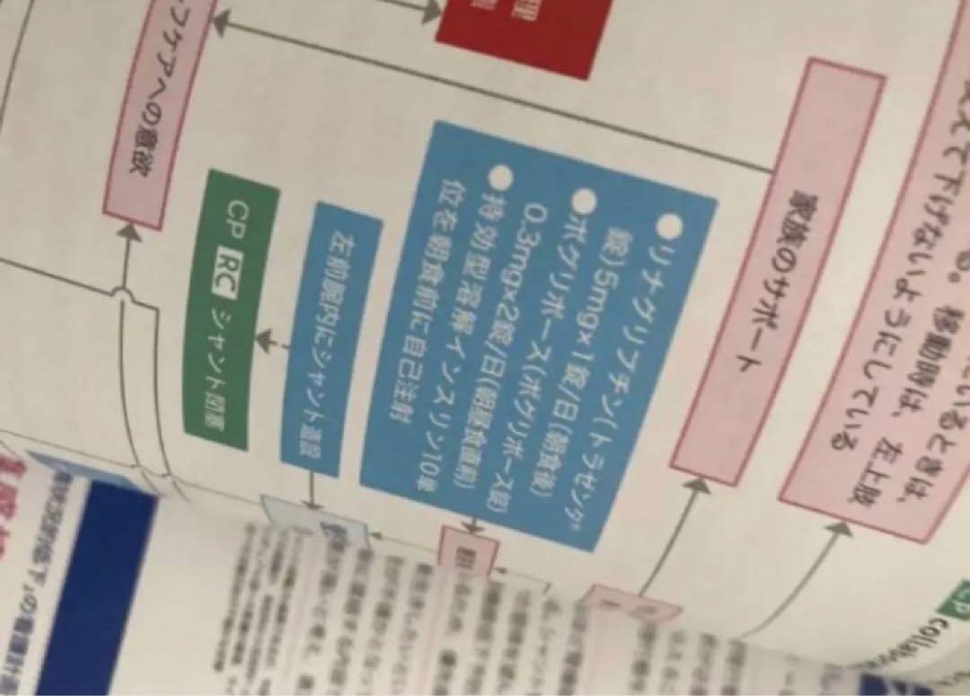 疾患別 看護過程 慢性腎臓病 慢性腎不全 プチナース 付録