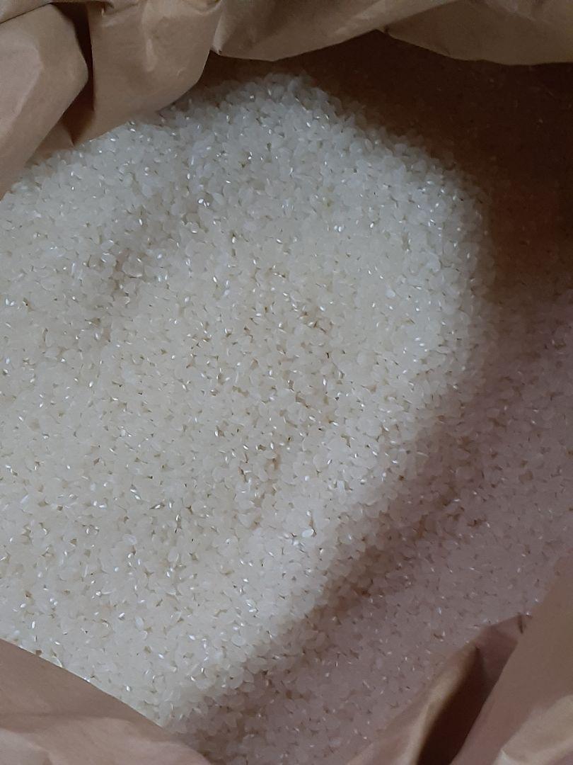 新米　秋田県産　あきたこまち　玄米　10キロ　【低農薬　低化学肥料】 6年産