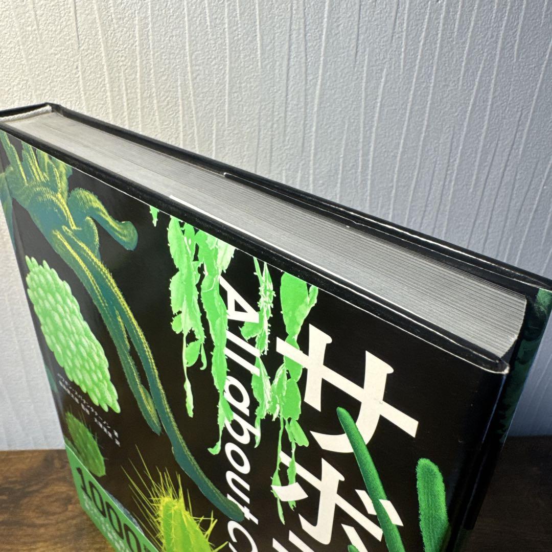 手縫いの料理 ムッシュディオールの食卓より クリスチャン
