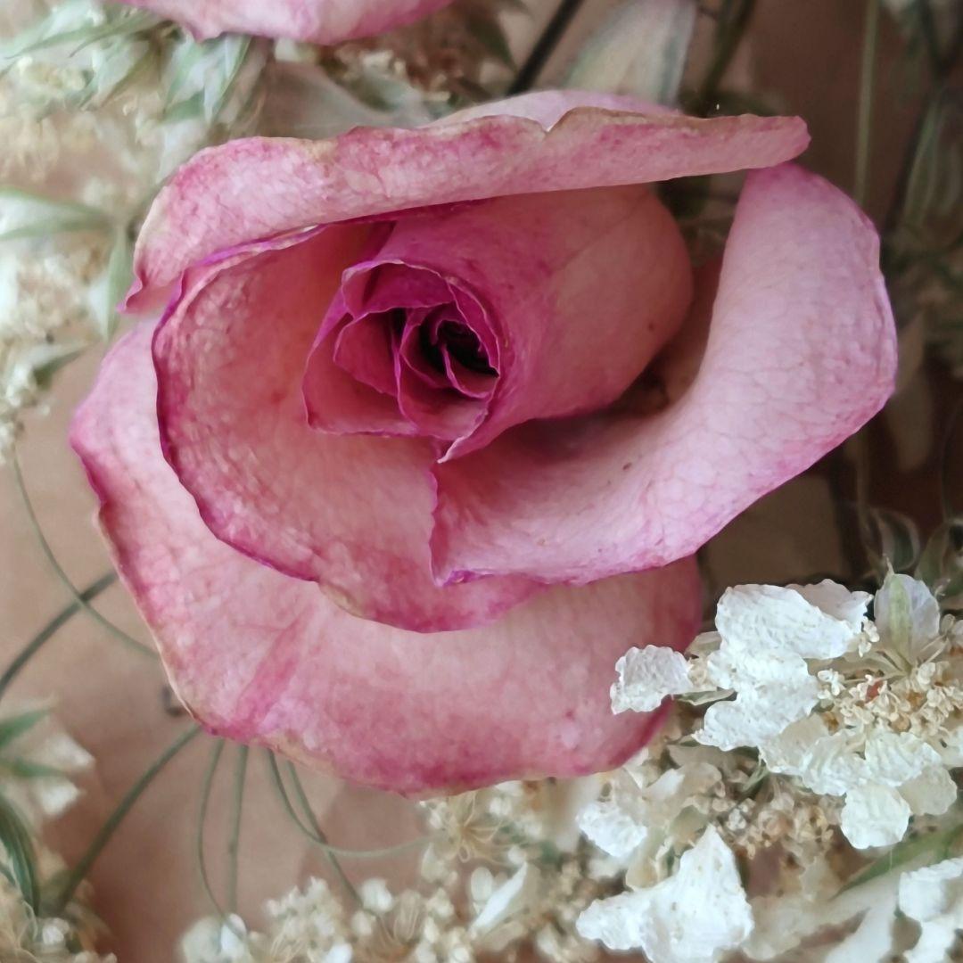 ピンク白紫 バラとキャットミントのドライフラワー スワッグ # 300