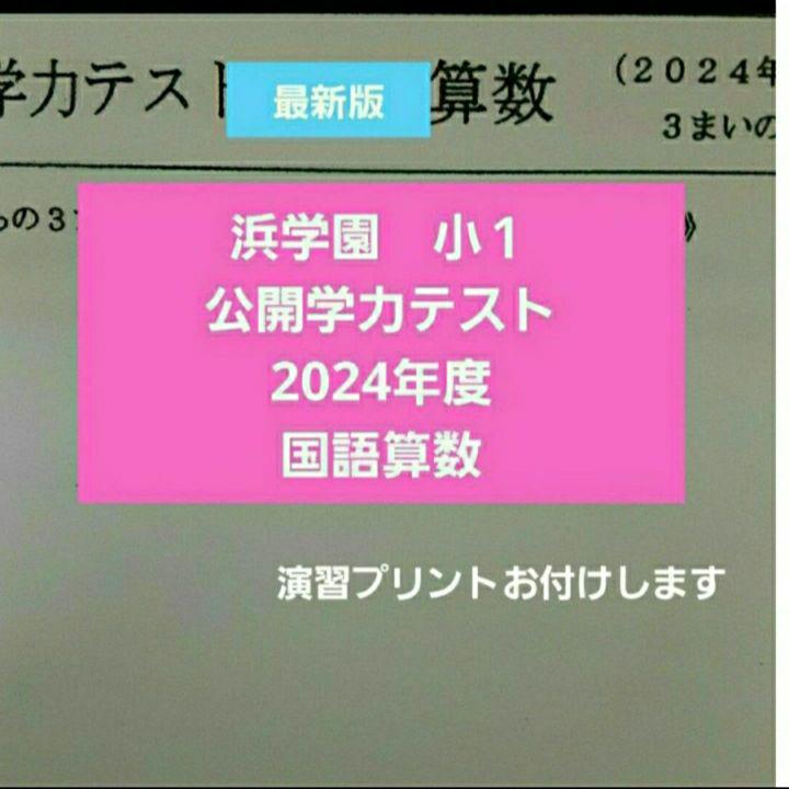浜学園　小１　2024~18年.15年　８年分　公開学力テスト 浜学園 小1 2024年度 公開学力テスト 国語算数 未記入 - メルカリ