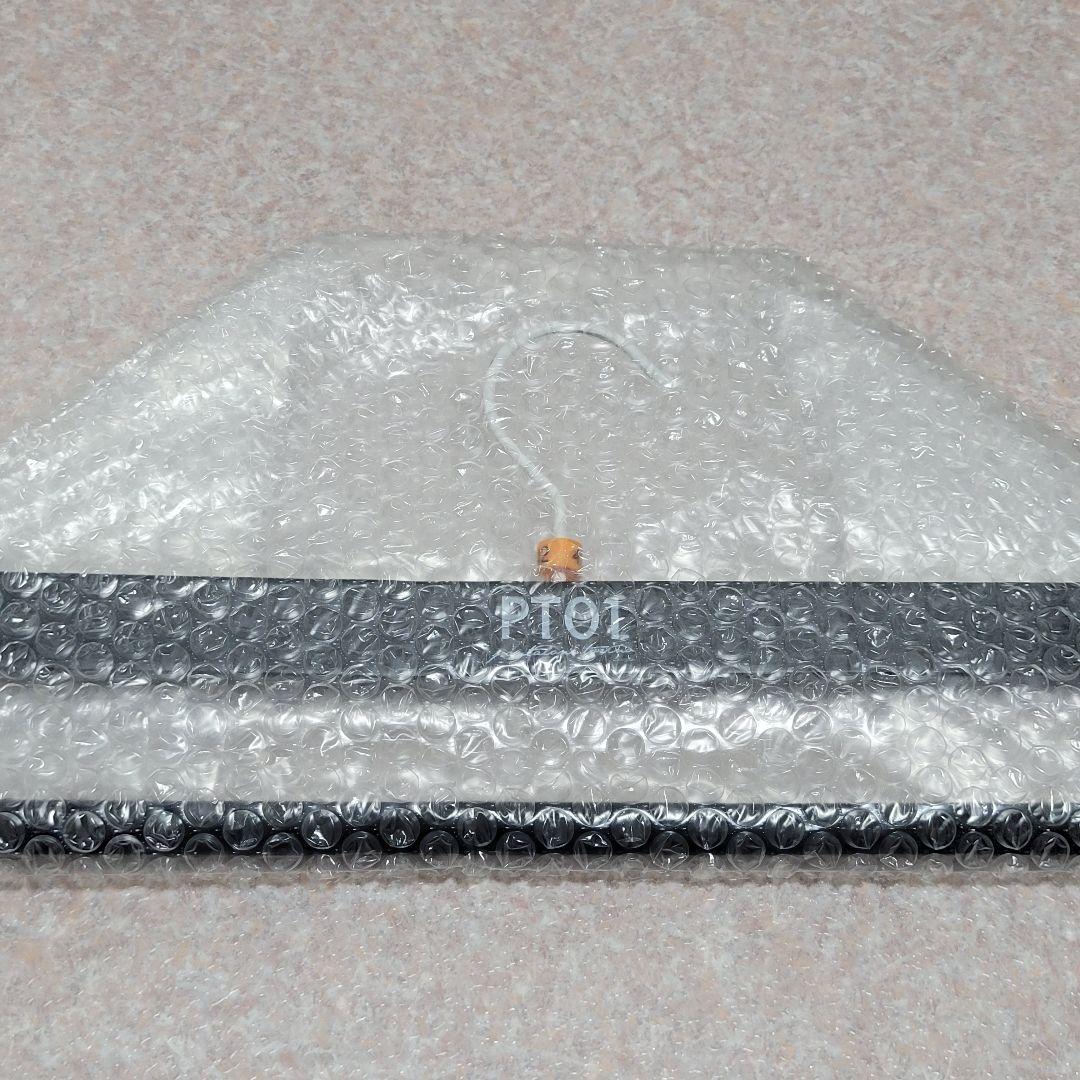PT01