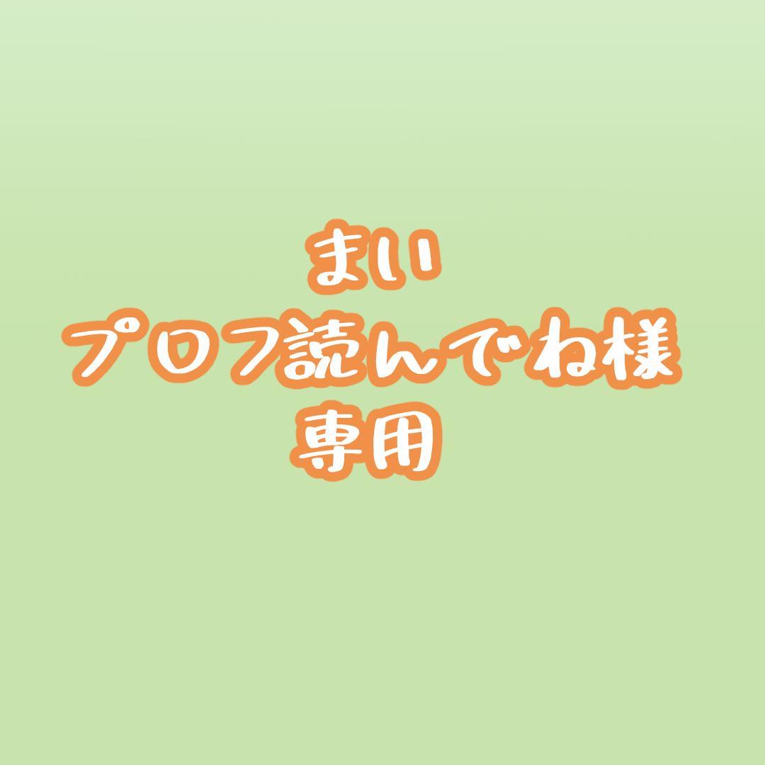 楽天総合1位受賞! まい プロフ読んでね様専用 オーダー - locabrinq