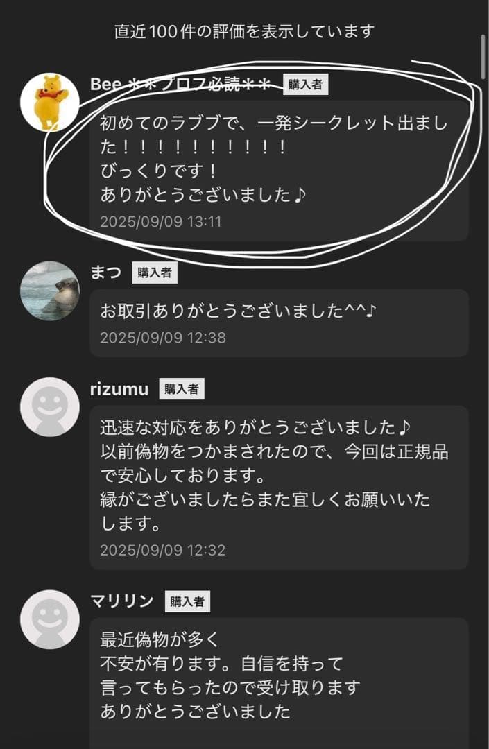 【正規品・未開封】Labubu Big into Energy 2箱