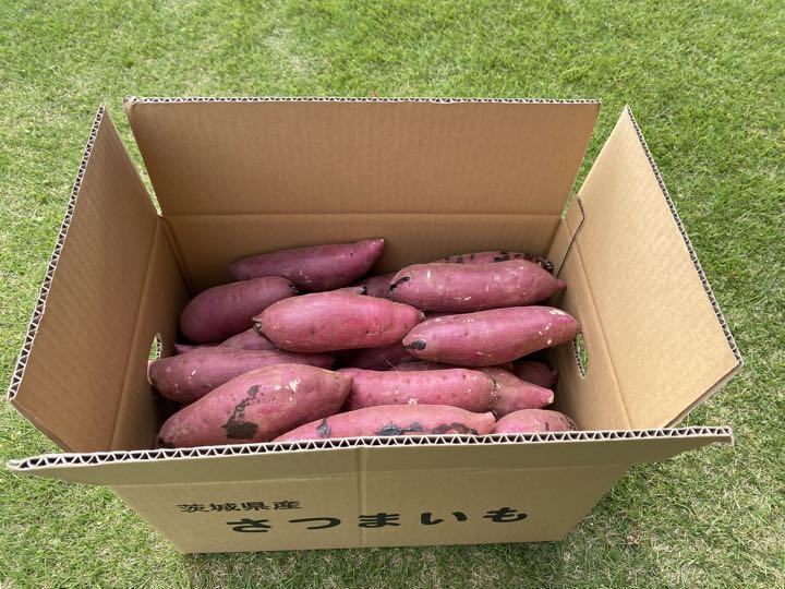 茨城県産紅はるかS60キロ　じゅん様専用品