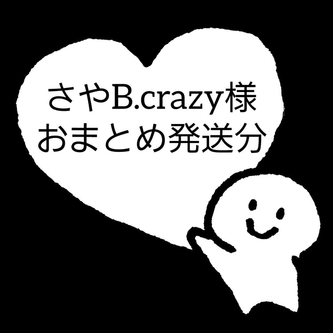 さやB.crazy様お纏め発送(。uωu)♪❤️総数12点