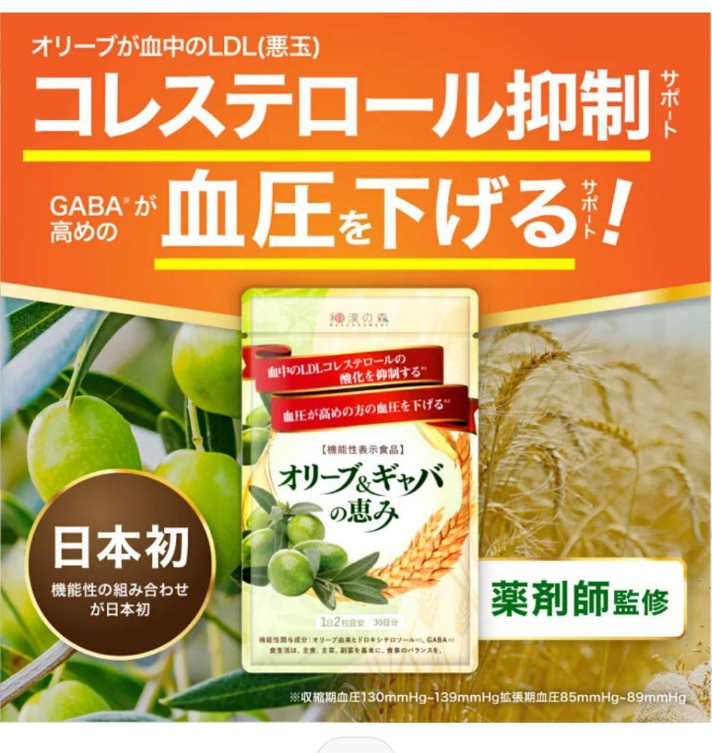 漢方セレクト 和漢の森 オリーブ ギャバ 60粒