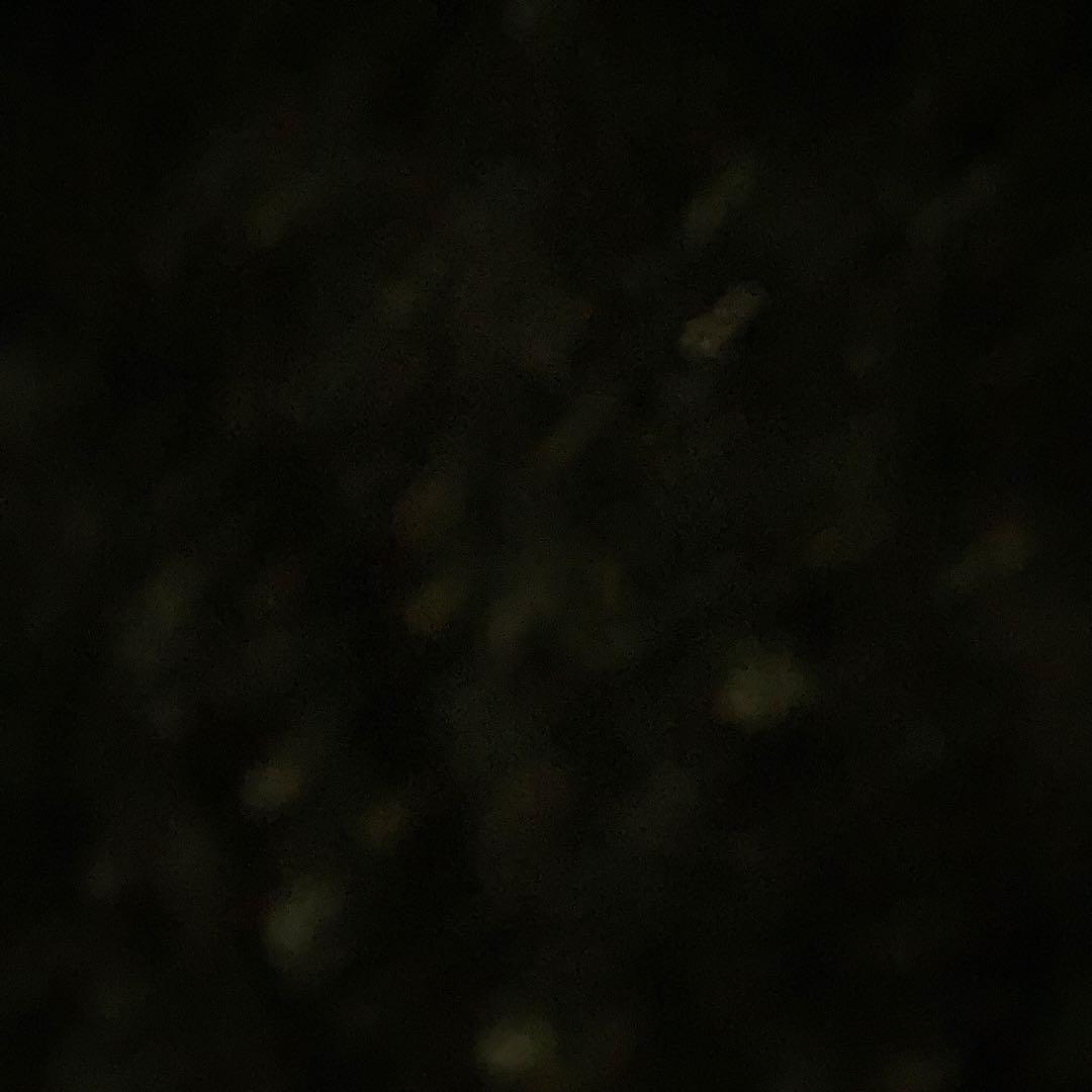 カマキリ男爵