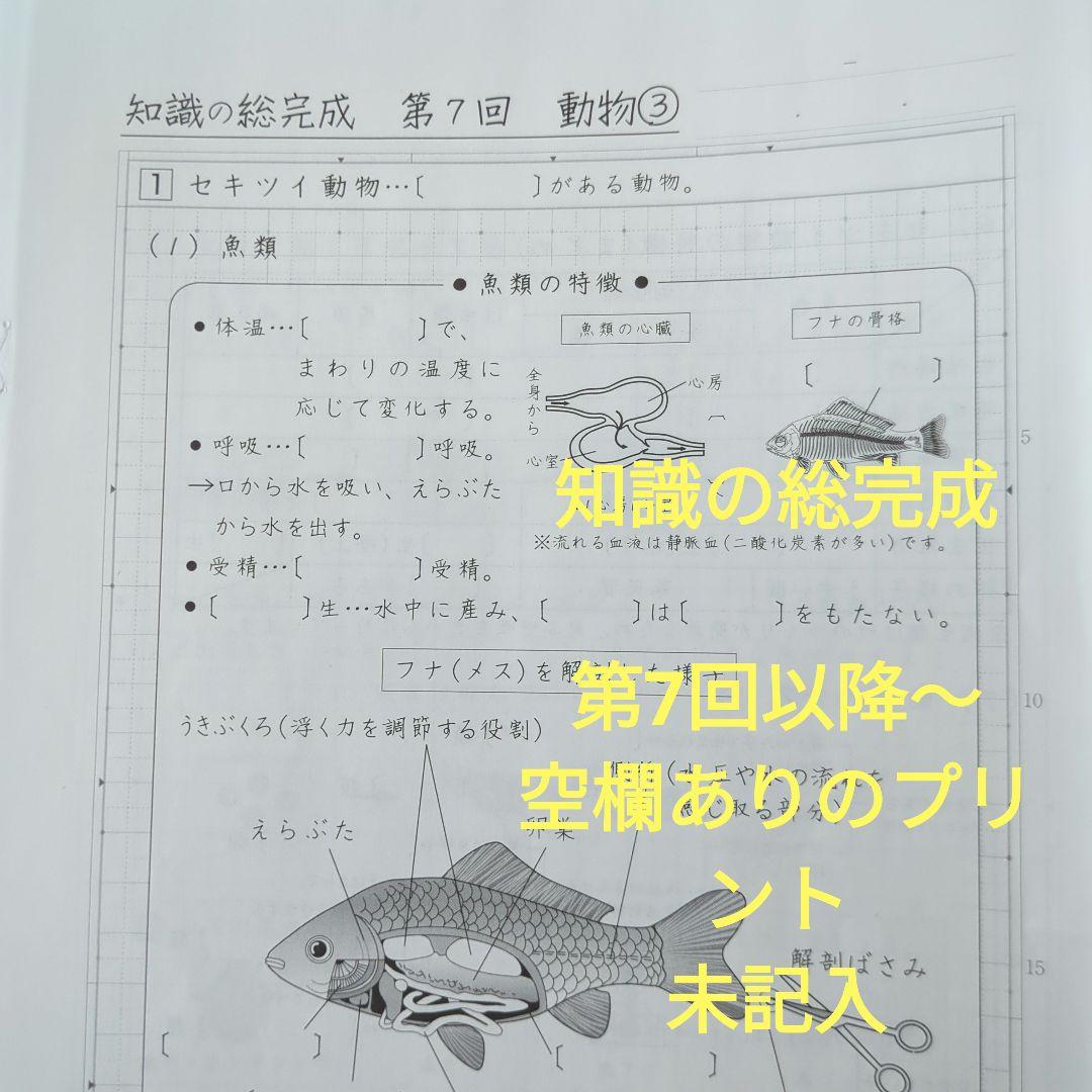 sapix 6年 理科 ウィークリーサピックス 知識の総完成 記
