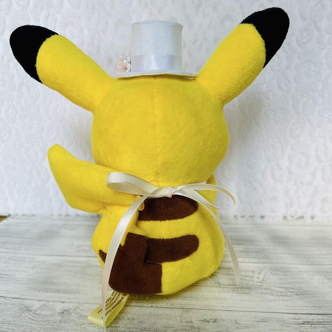 yu様♡専用商品 マイピカチュウ用　ハンドメイドコスチューム
