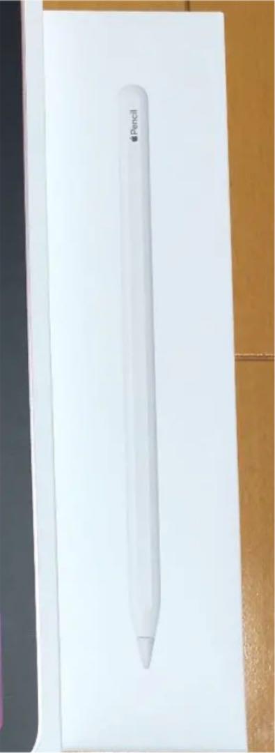 日本正規品 Apple Pencil 第2世代 ペンケース Apple Pencil 2 スタイラスペン ケース 触り心地の良いシリコンケース カバー かわいい 便利 アップルペンシール 耐衝撃 衝撃防止 ペンシルカバーipad 10 2 第8 7世代 Air4 Air10 9 Air3 Pro10 5 激安の