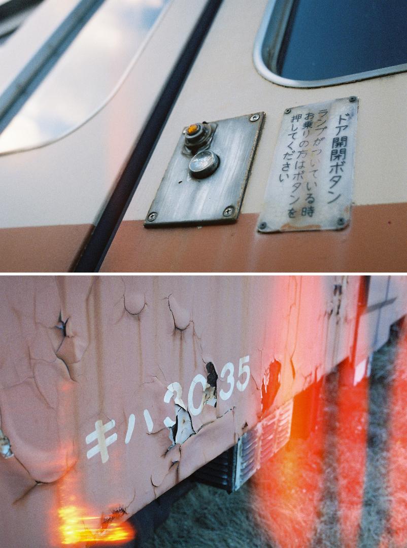 【値下】CINESTILL 800T 5本