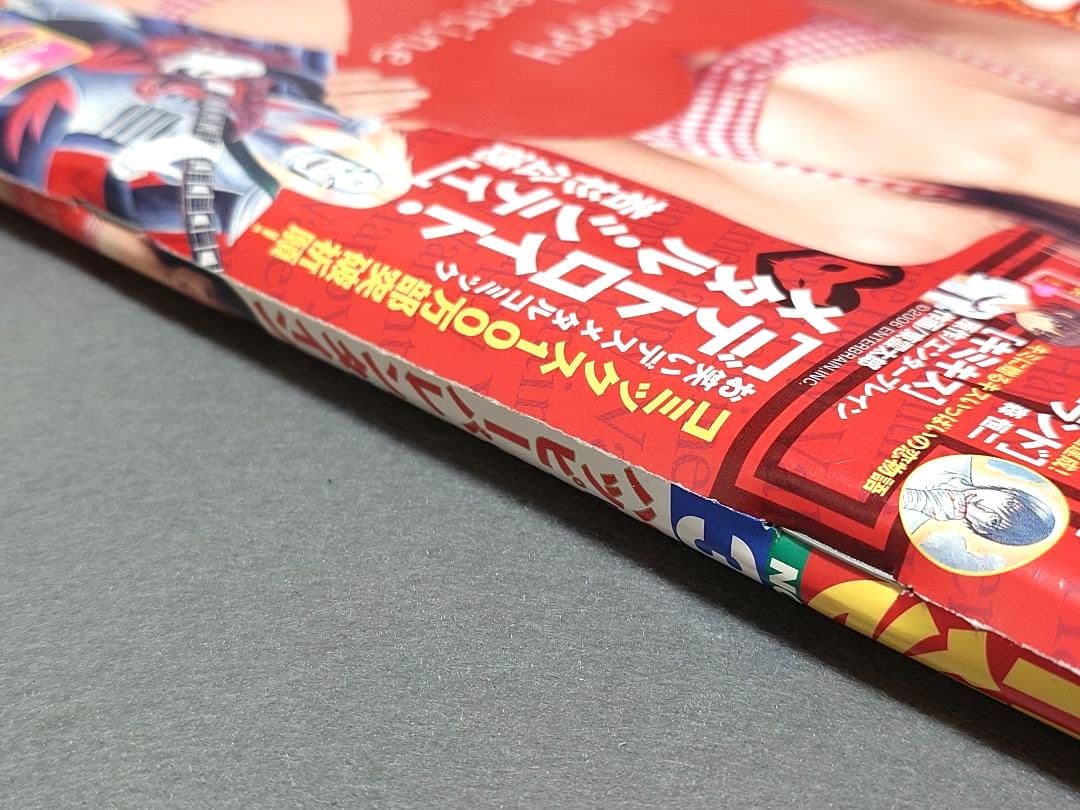 ヤングアニマル2007年3号ベルセルク巻頭カラー第281話掲載/三浦建太郎 ヤングアニマル2007年3号ベルセルク巻頭カラー第281話掲載/三浦建太郎