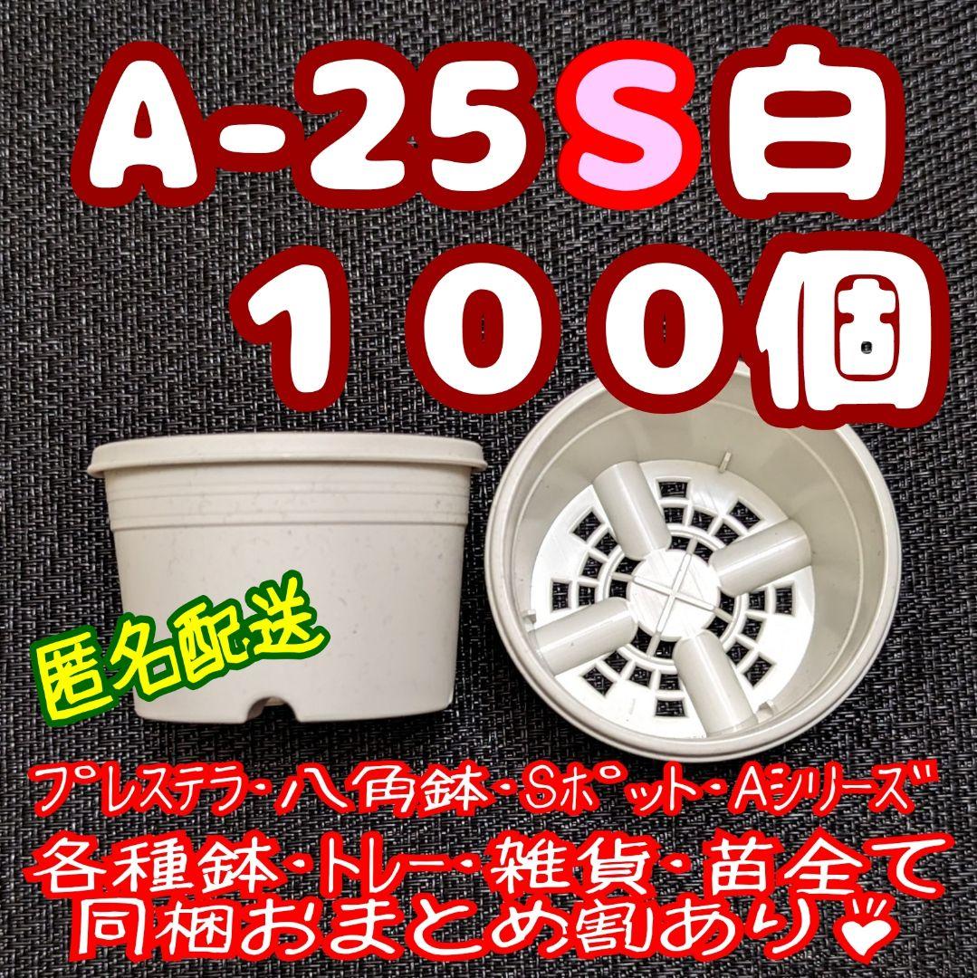 プラ鉢【A-25S】100個 スリット鉢 丸 プレステラ 多肉植物 5,329円