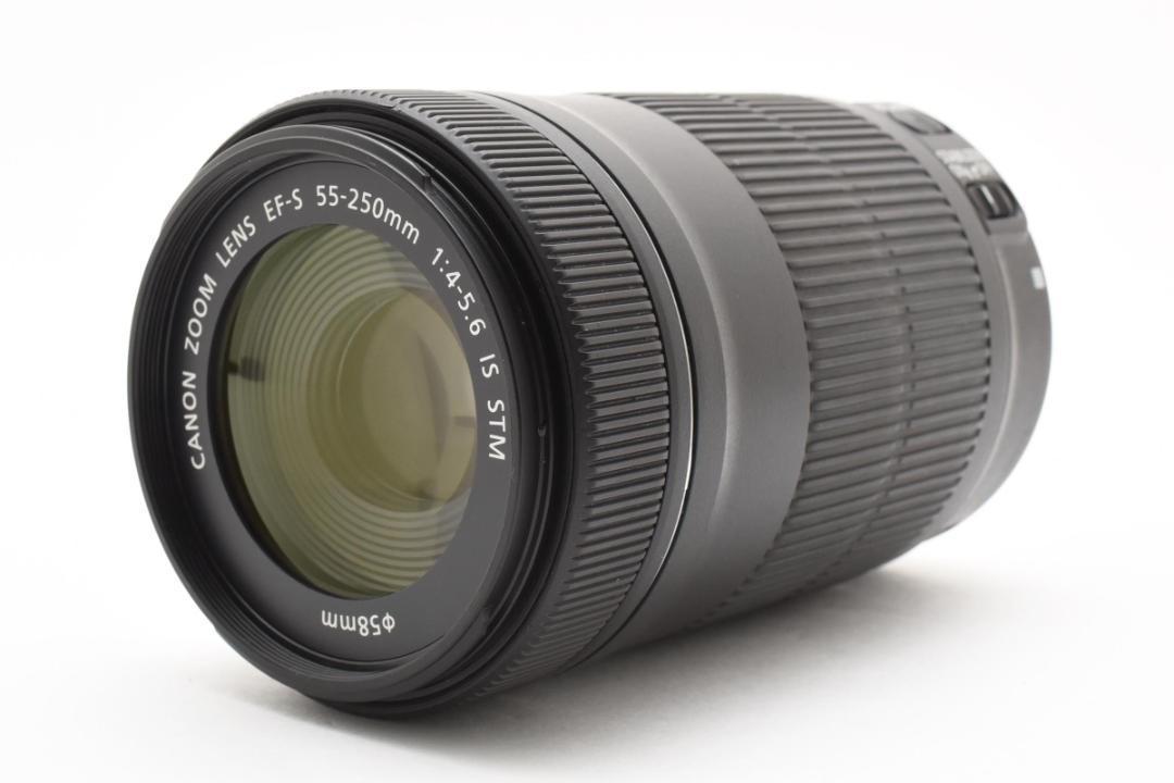 ✨遠くの”瞬間”をとらえる✨CANON EF-S 55-250 IS STM✨