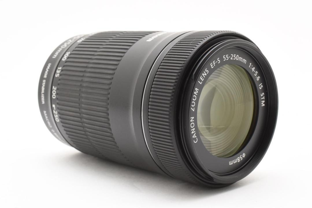 ✨遠くの”瞬間”をとらえる✨CANON EF-S 55-250 IS STM✨