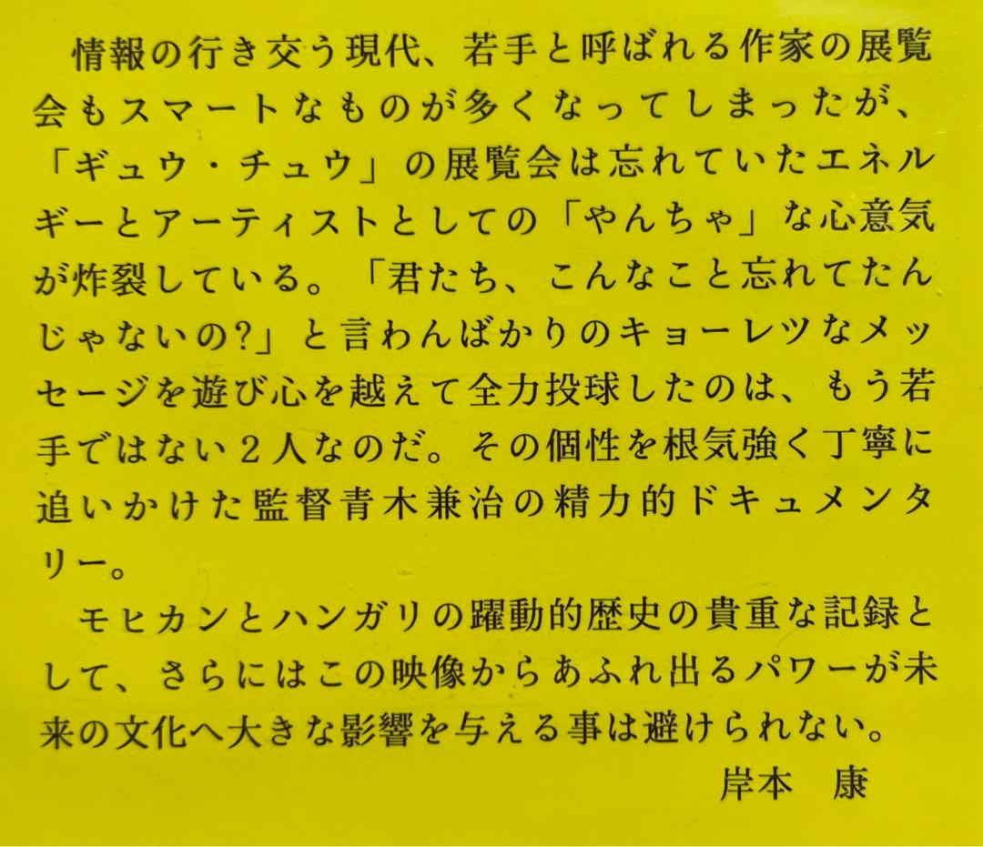 モヒカンとハンガリ ギュウとチュウ (篠原有司男 と 榎忠) [DVD] Amazon.co.jp: モヒカンとハンガリ ギュウとチュウ (篠原有司男