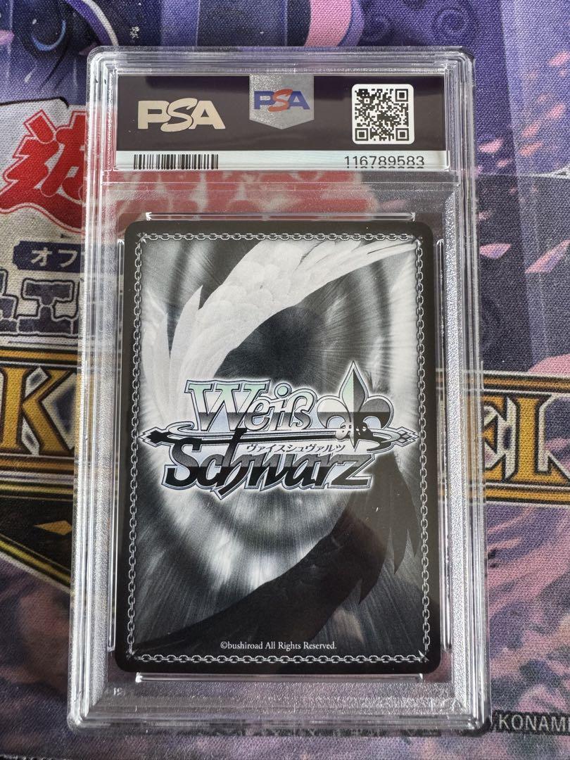 ヴァイスシュヴァルツ ビスケット お散歩トレーニング sp psa10