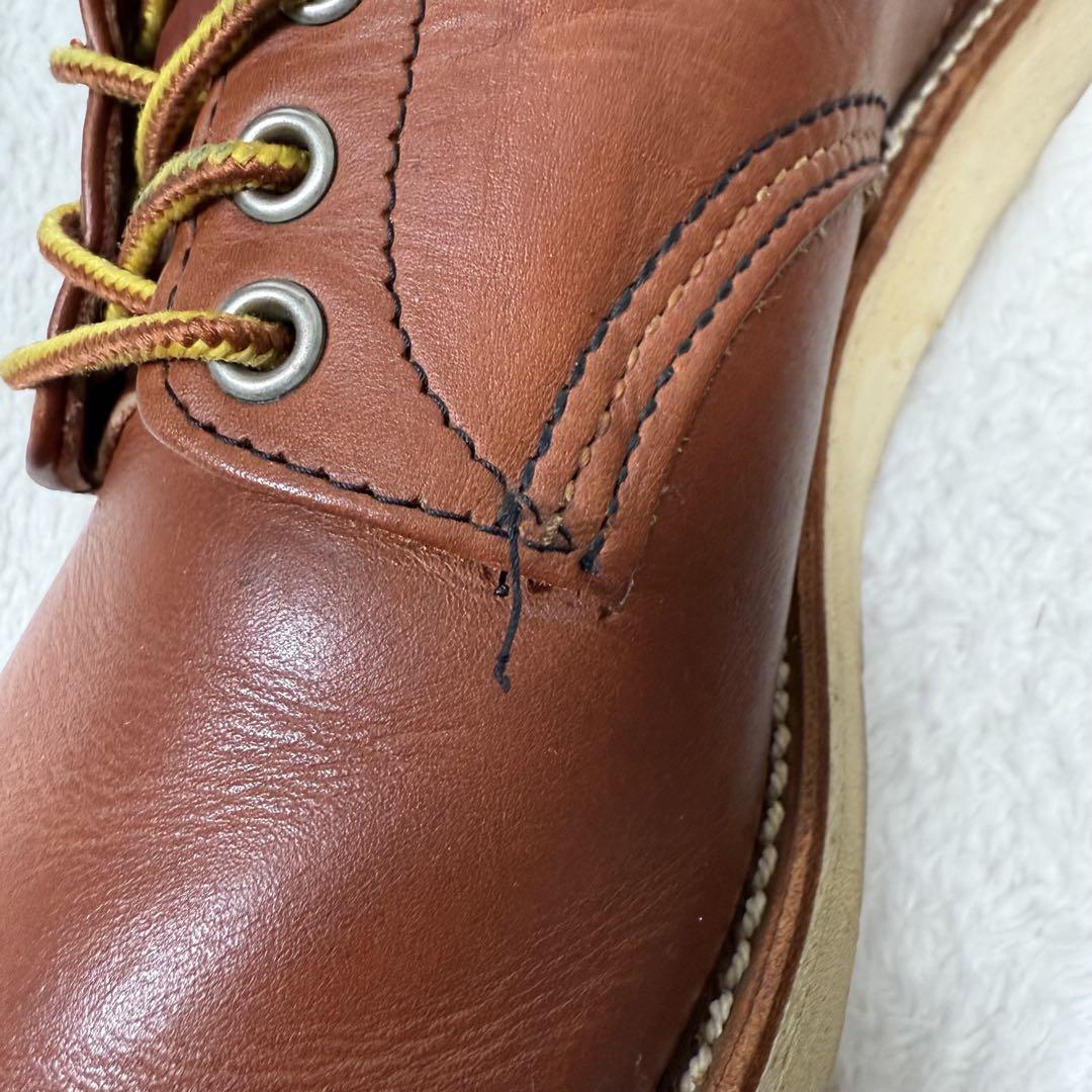 28cm アイリッシュセッター