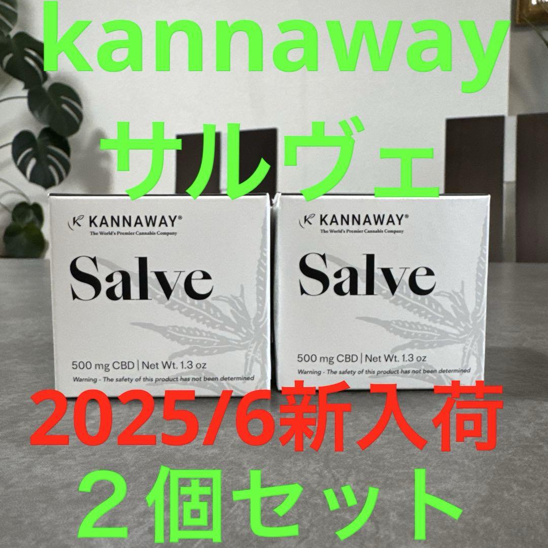 本物の kannaway サルヴェ メルカリ - 2025/6新入荷 2個セット その他