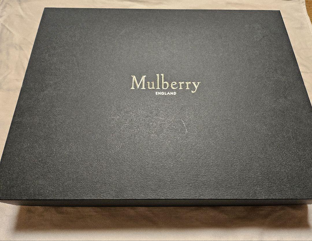 ☆新品未使用☆Mulberry限定版パートジップポーチ 画像7