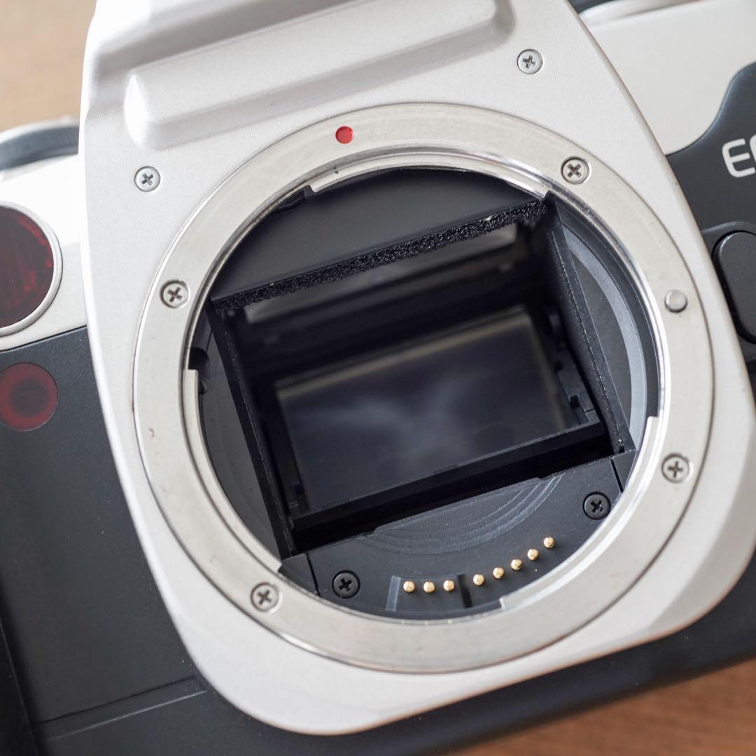 【撮影済み】Canon EOS 55 一眼レフカメラ 【撮影済み】Canon EOS 55 一眼レフカメラ