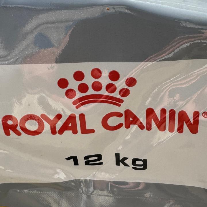 ロイヤルカナン ダックスフンド 成犬用【１２キロ】