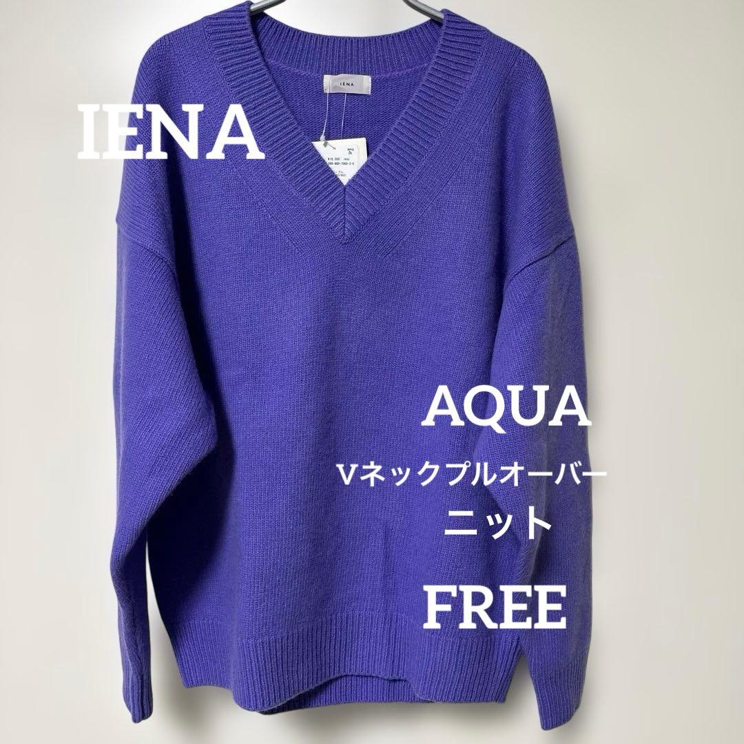 IENA AQUA Vネックプルオーバー ニットFREE SIZE・IENA