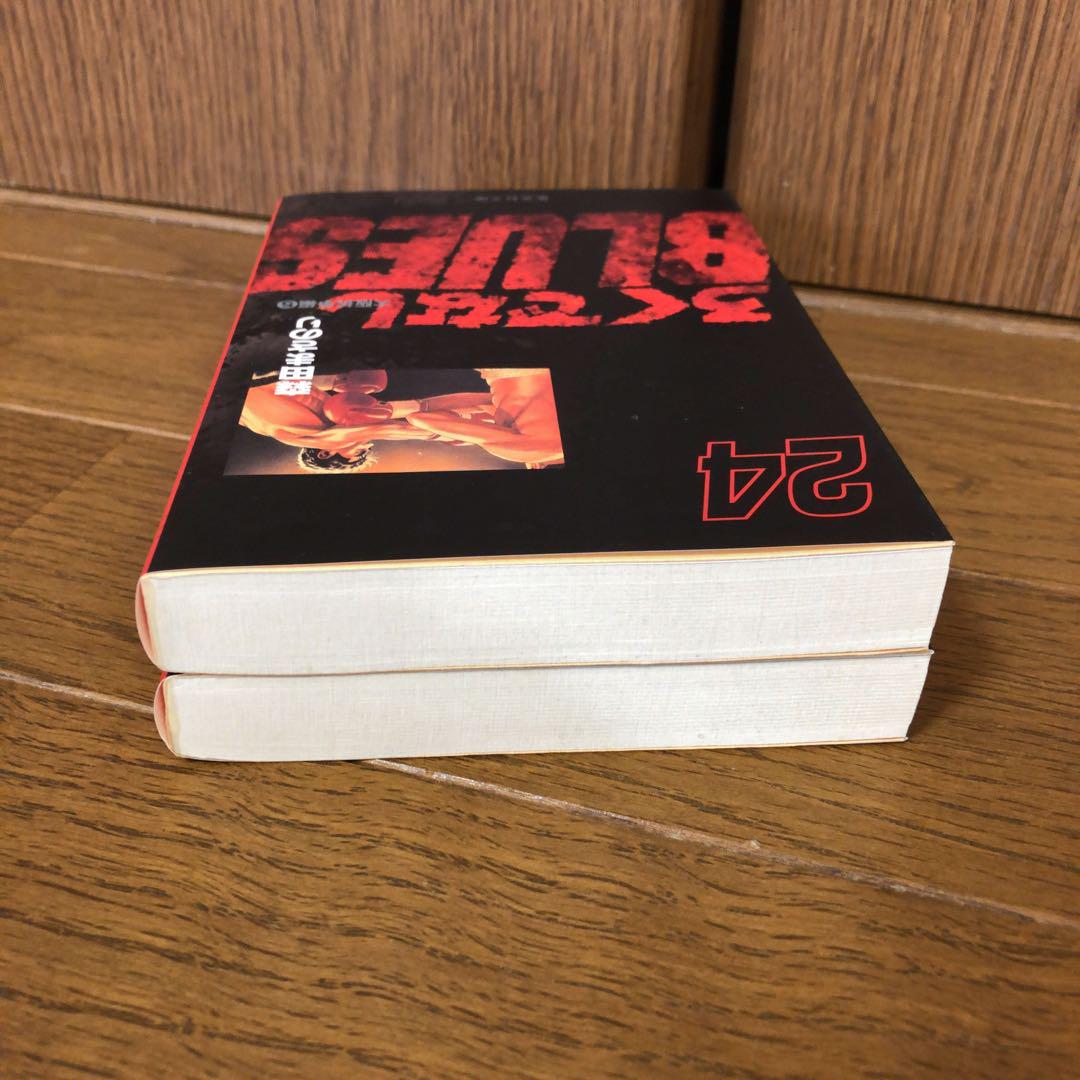 ろくでなしBlues 文庫 24.25巻 完結 ろくでなしブルース - メルカリ