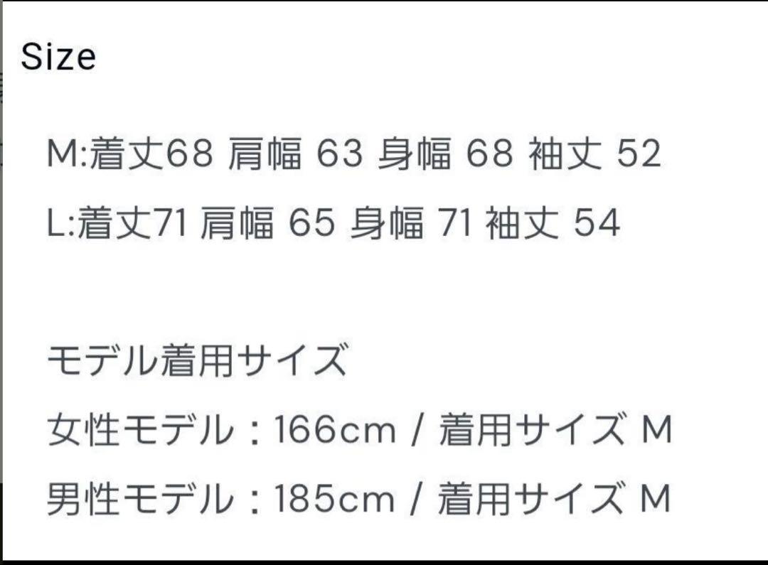 CDL 登坂広臣 SheaButterPocketTee Lサイズ