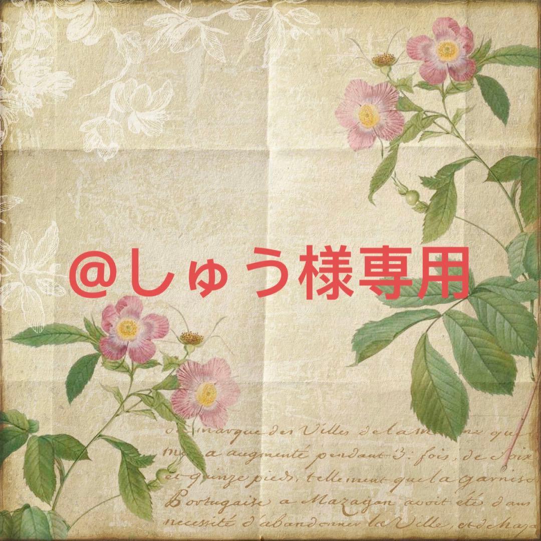 しゅう様確認専用ページ お気にいる 31%割引 www.shelburnefalls.com