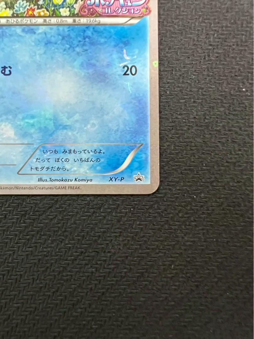 XY-P コダック_ポケキュンコレクション キャンペーン　増田順一 コラボ P…