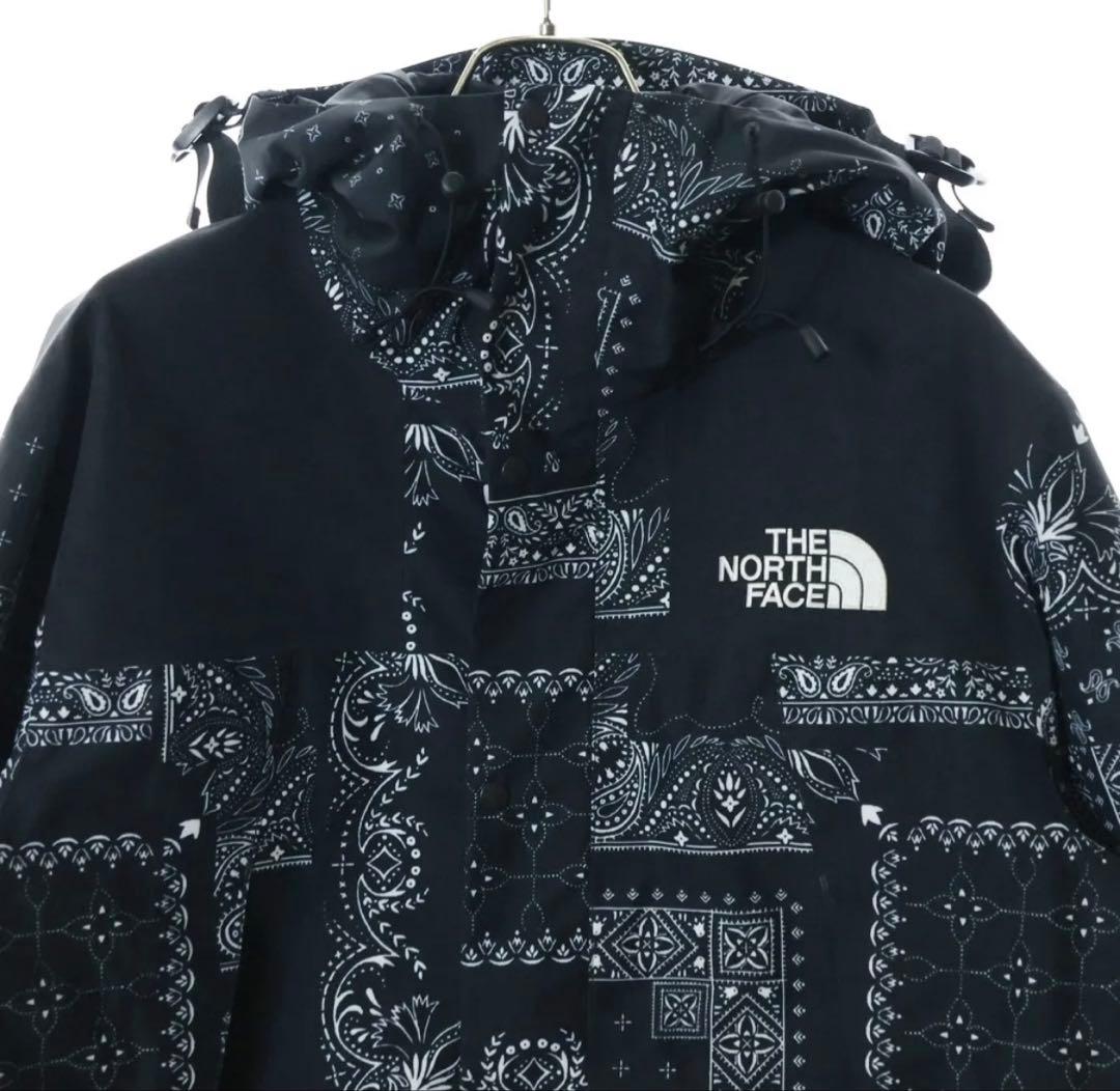 韓国限定ノースフェイス マウンテンジャケット ゴアテックス ペイズリーM 韓国限定ノースフェイス マウンテンジャケット ゴアテックス ペイズリーM