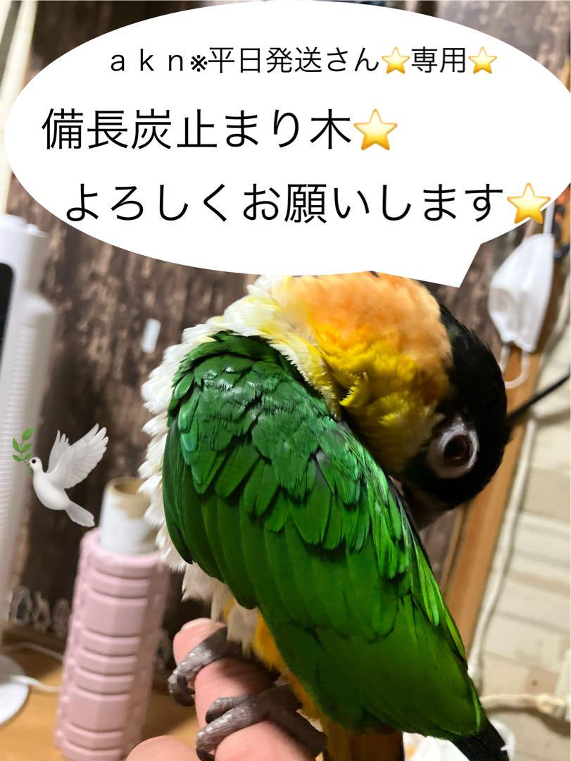 備長炭止まり木⭐️止まり木⭐️パーチ⭐️専用です(*゜▽゜*)✨ 備長炭止まり木✨止まり木スタンド✨パーチ✨専用です(^_^