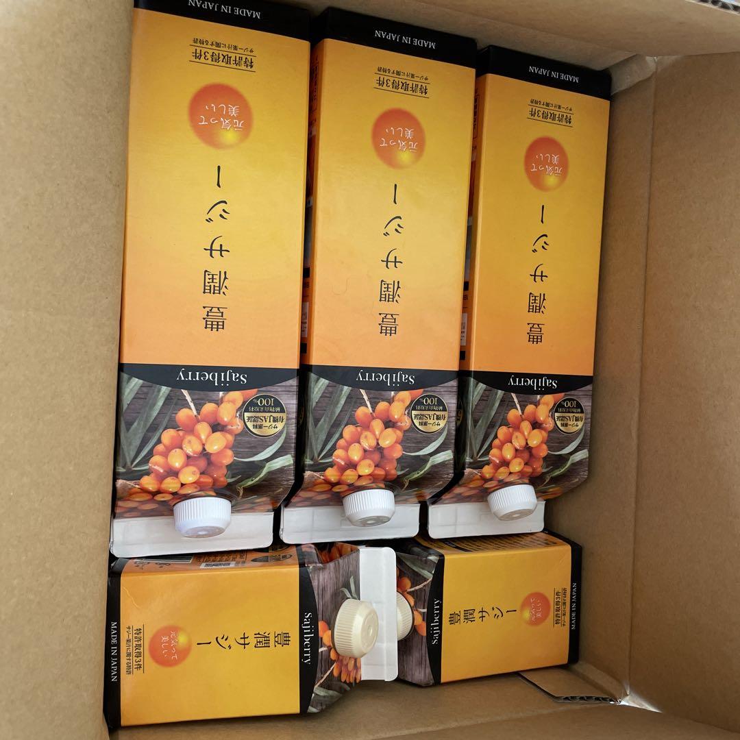 【未開封】フィネス　豊潤サジー　1000ml×3本　300ml×2本　5本セット