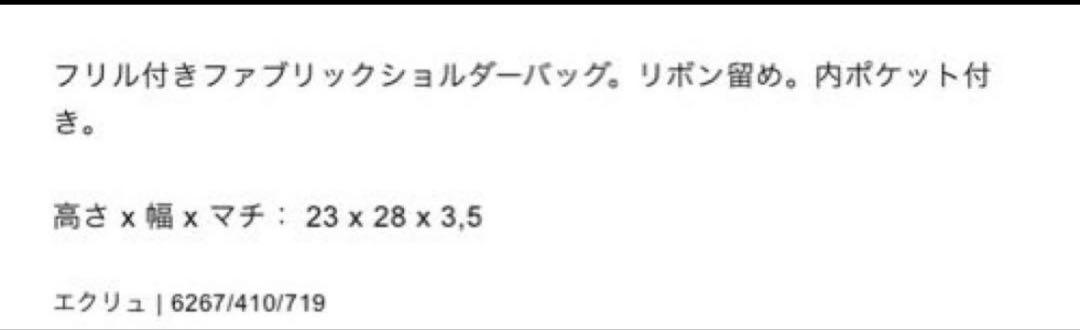新品タグ付き！完売品！レア！ZARA リボン　刺繍入りファブリックバッグ ZARA - 《ネット完売》新品タグ付きZARA リボン 刺繍