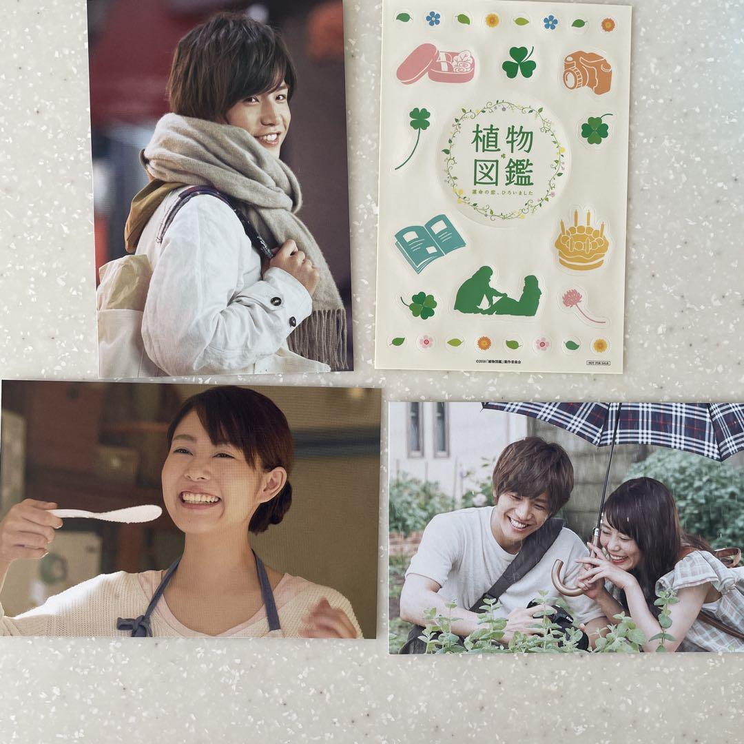 植物図鑑 運命の恋,ひろいました 豪華版('16松竹/ホリプロ/LDH/幻冬舎… Amazon.co.jp: 植物図鑑 運命の恋、ひろいました 豪華版(初回
