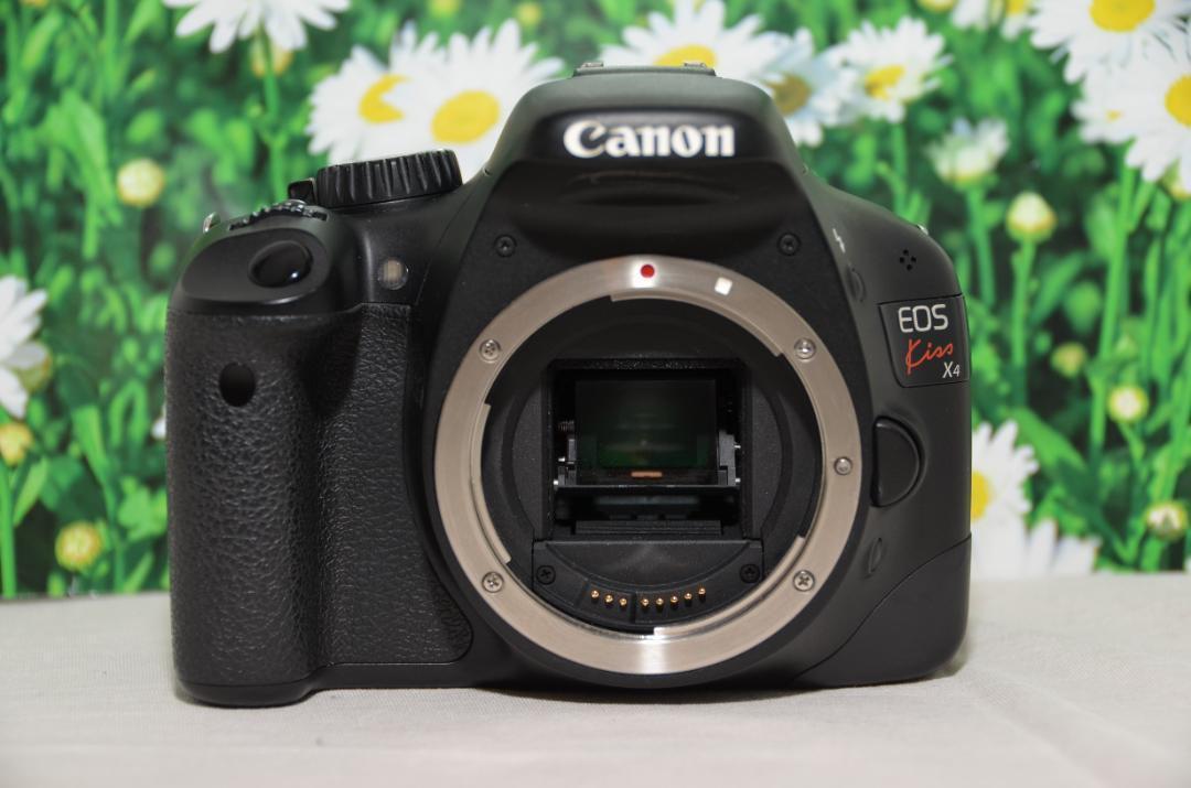 美品 キャノン Canon kiss x4❤スマホに転送♪❤初心者おススメ❤ 美品 キャノン Canon kiss x4❤スマホに転送♪❤初心者おススメ❤