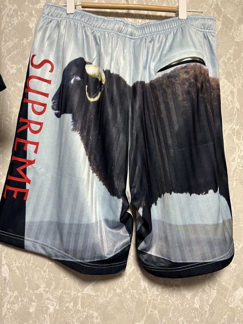 建*家様 Supreme Damien Hirst Soccer Short S - メルカリ
