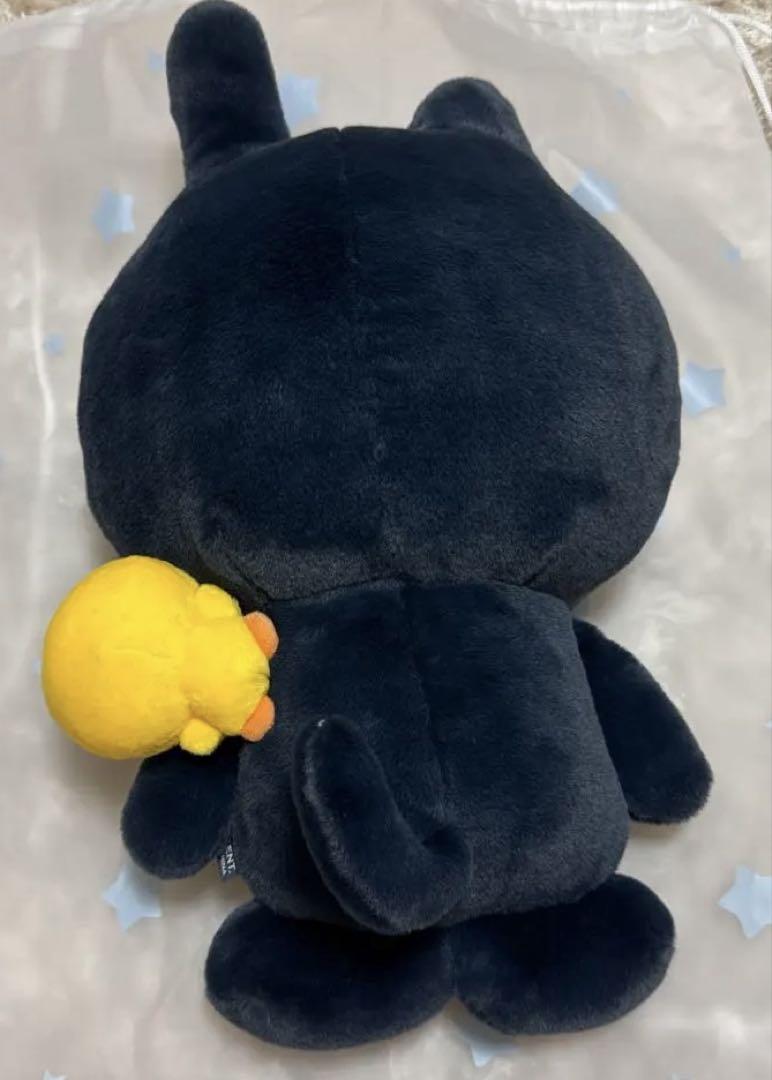 RIIZE ペンライト ウォンビン トニャンドク ぬいぐるみ 61u9weNlBrL._UF350,350_QL50_.jpg