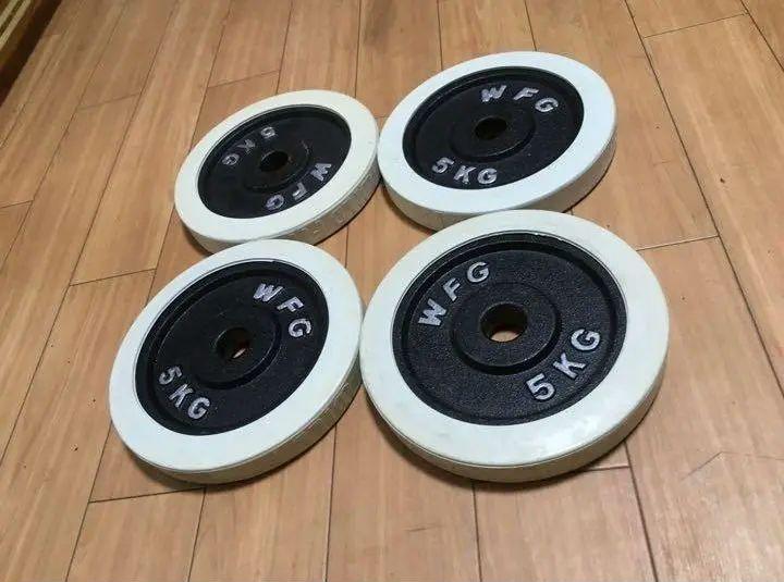 WILD FIT ダンベル プレート5kg x 4枚
