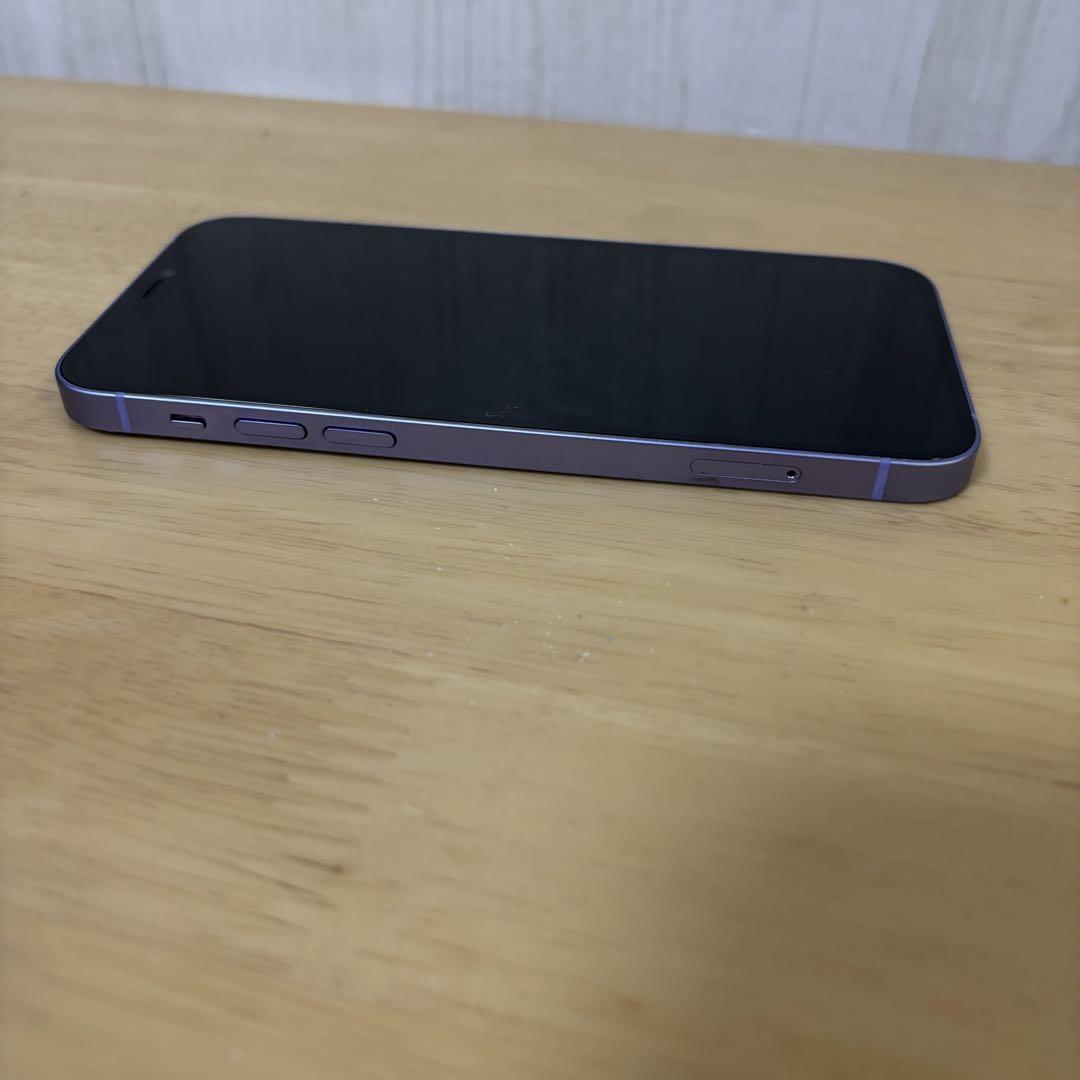 パープル 元
