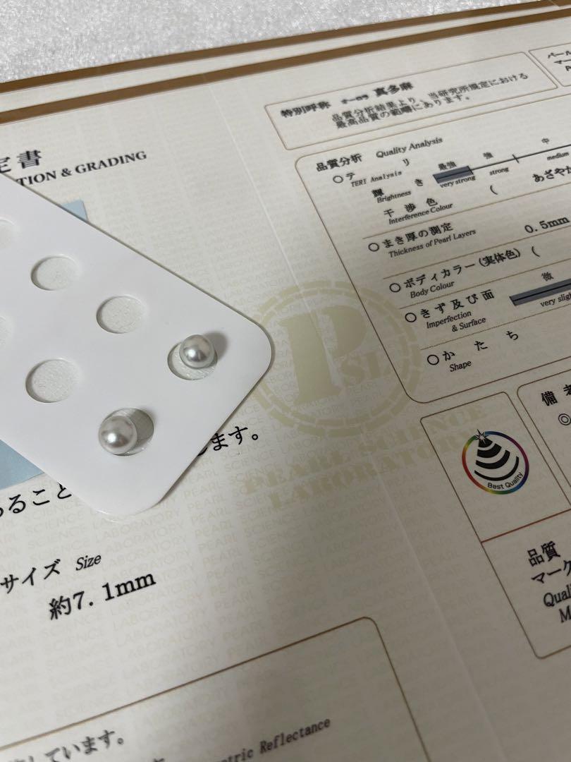 真多麻 新品未使用オーロラ真多麻ピアス 7-7.5mm 真珠科学研究所鑑別付き