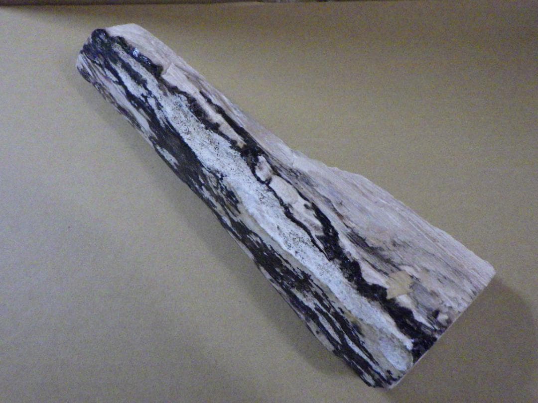 木の石 珪化木 ペトリファイドウッド 木化石 珍しいナガモノ 鉱物 加工済