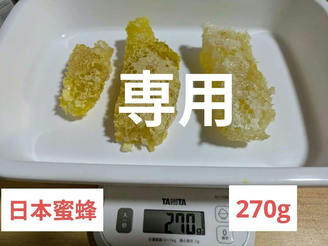 日本みつばち　コムハニー 428g　巣蜜　日本蜜蜂　とれたて 楽天市場】【2025年新蜜】国産純粋 巣みつ（巣蜜 コムハニー）2